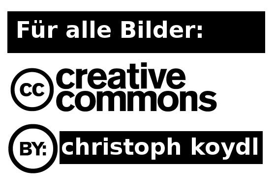 640x480/creative_commons_by_christoph_koydl.jpg